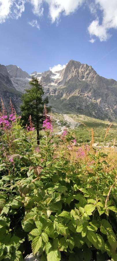 La Casetta Di Lele E Schina Arvier Exteriér fotografie